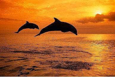 益智游戏《粘粘世界2》即将登陆Steam 支持中文